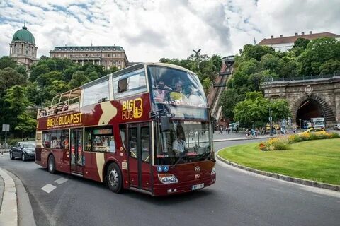Hop on hop off tour