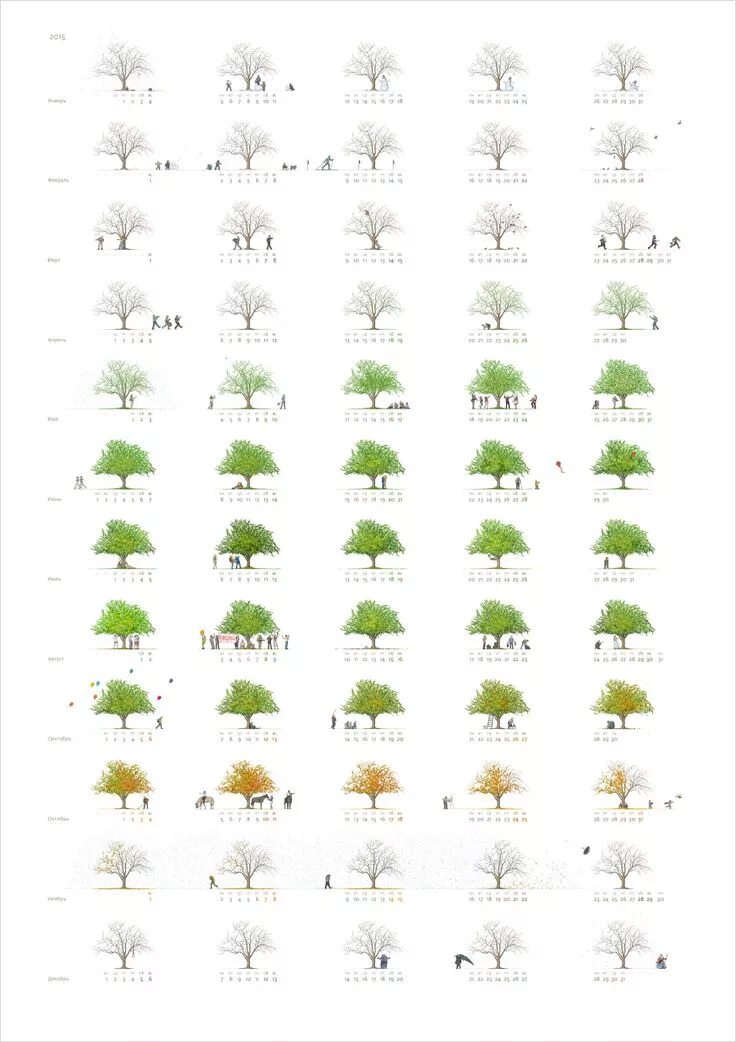 Календарь яблоня. Яблоня инфографика.