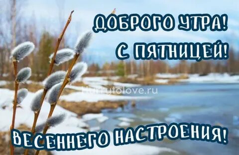Доброе утро весенней пятницы картинки