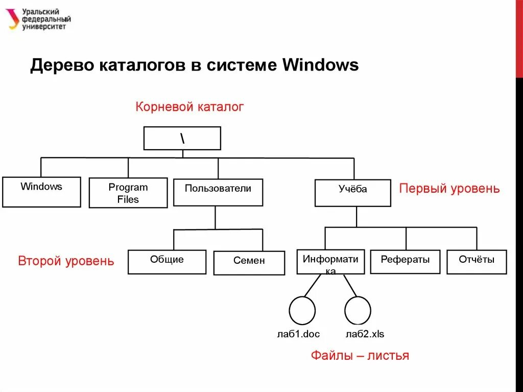 Каталог 3 уровня. Дерево каталогов. Дерево каталогов Windows. Дерево каталогов пример. Дерево каталогов Информатика.