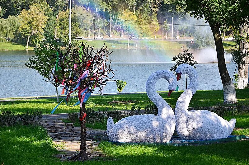 Фото губкина. Парк города Губкин. Город Губкин старый парк. Губкин Белгородская область. Городской парк Губкин.