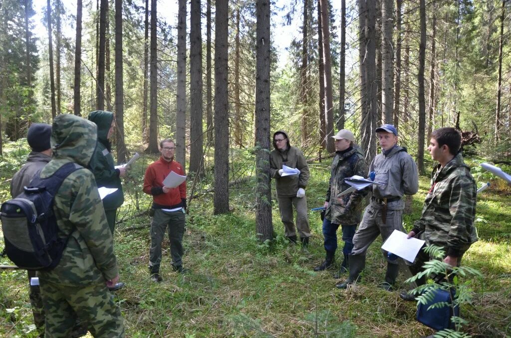 квартальные карты лесничеств. лесхоз соликамск. ооо лесхоз соликамск. касли лесхоз. карта кварталов кизеловского лесничества.