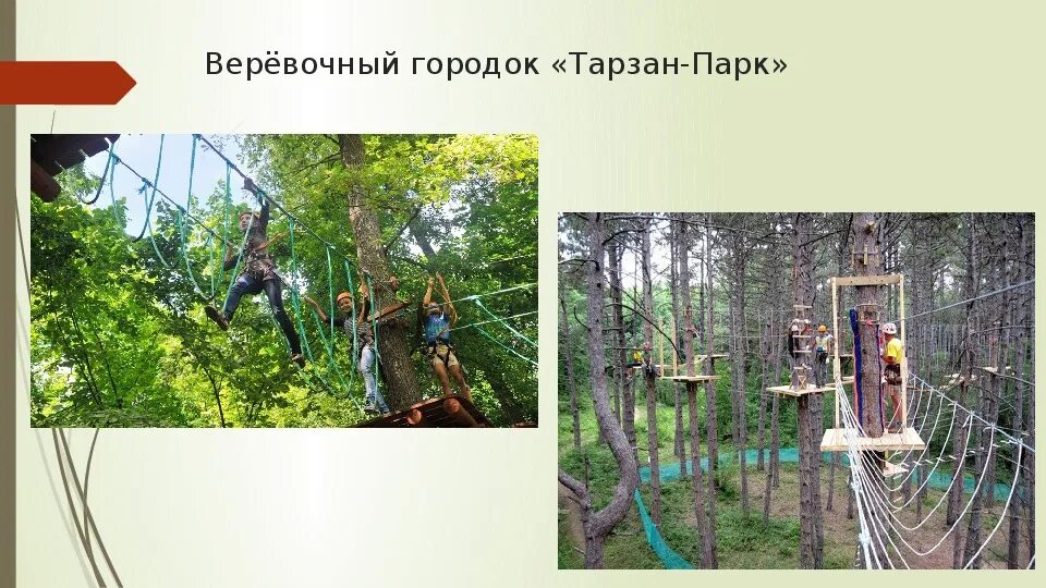 Дракино парк звери. Панда парк дракино. Тарзан парк дракино. Тарзан парк липецк парк победы. Веревочный парк тарзан липецк.