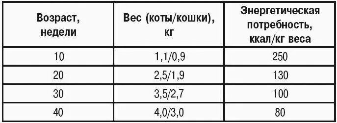 Вес котенка в 4. Сколько калорий нужно кошке. Сколько калорий нужно кошке в сутки. Сколько килокалорий нужно кошке в день. Сколько ккал надо кошке в день.