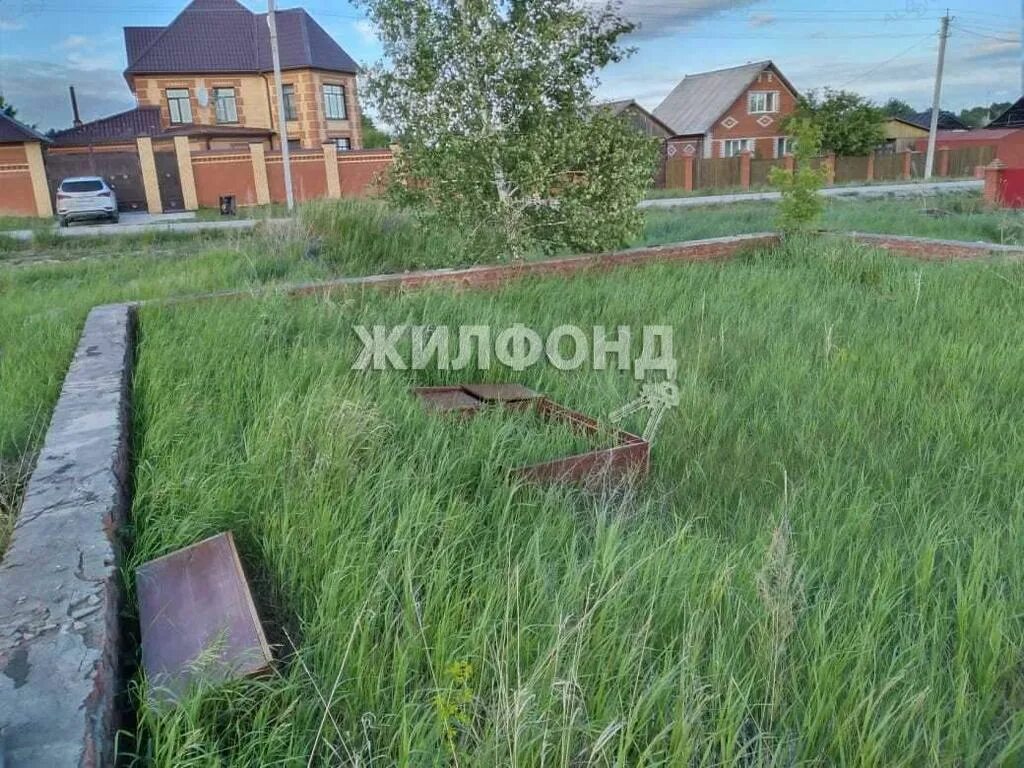 Гисметео красный яр ордынский