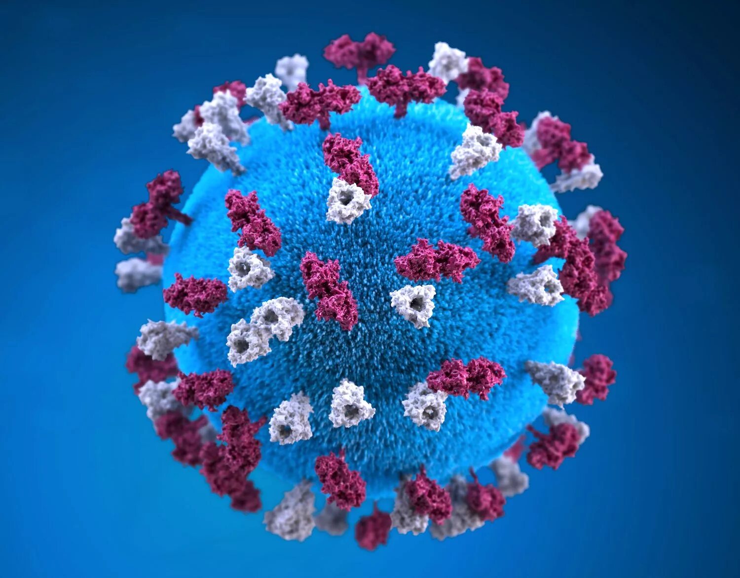 Www virus. Корь вирус возбудитель. Covid-19. Вирус кори микрофотография.