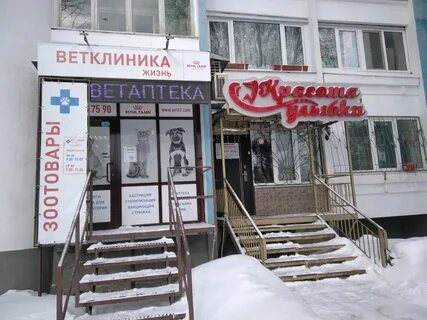 Альтернатива самара