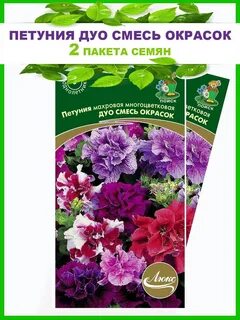 Петуния смесь окрасок отзывы