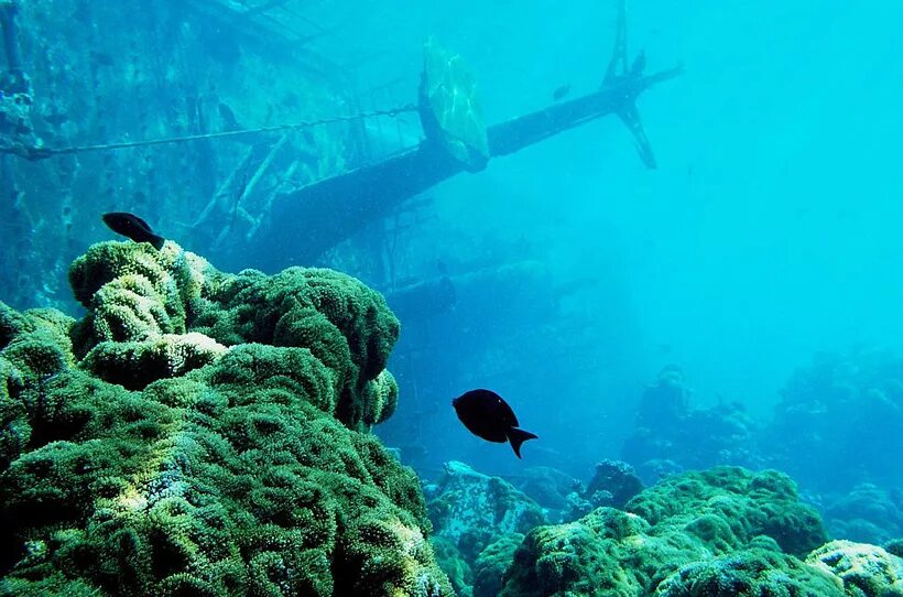 кладбище затонувших кораблей краснодар. эндьюранс корабль антарктида. глыба давно затонувшего корабля 5 букв. Endurance корабль затонувший. глыба давно затонувшего корабля 5 букв.