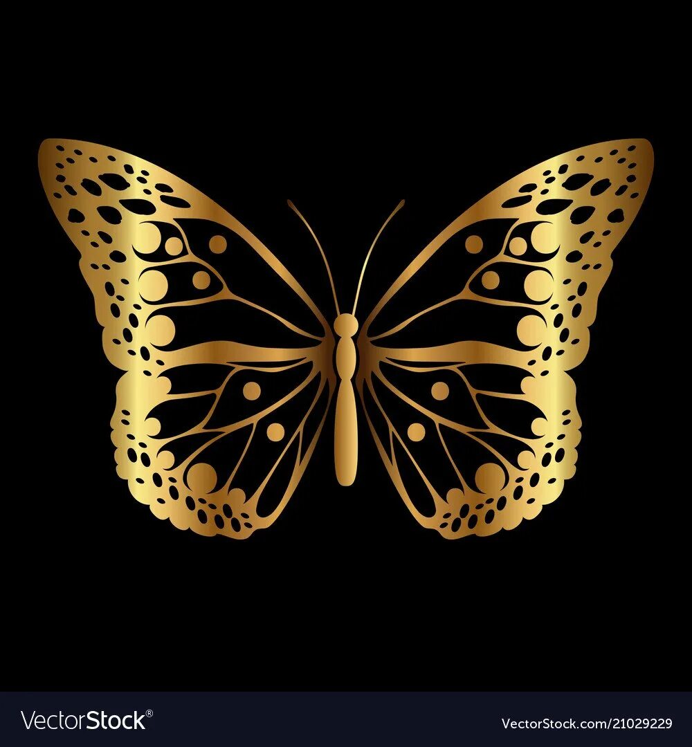 Золотая бабочка. Золотые бабочки для печати. Золотые бабочки на черном фоне. Бабочки в золотом цвете.