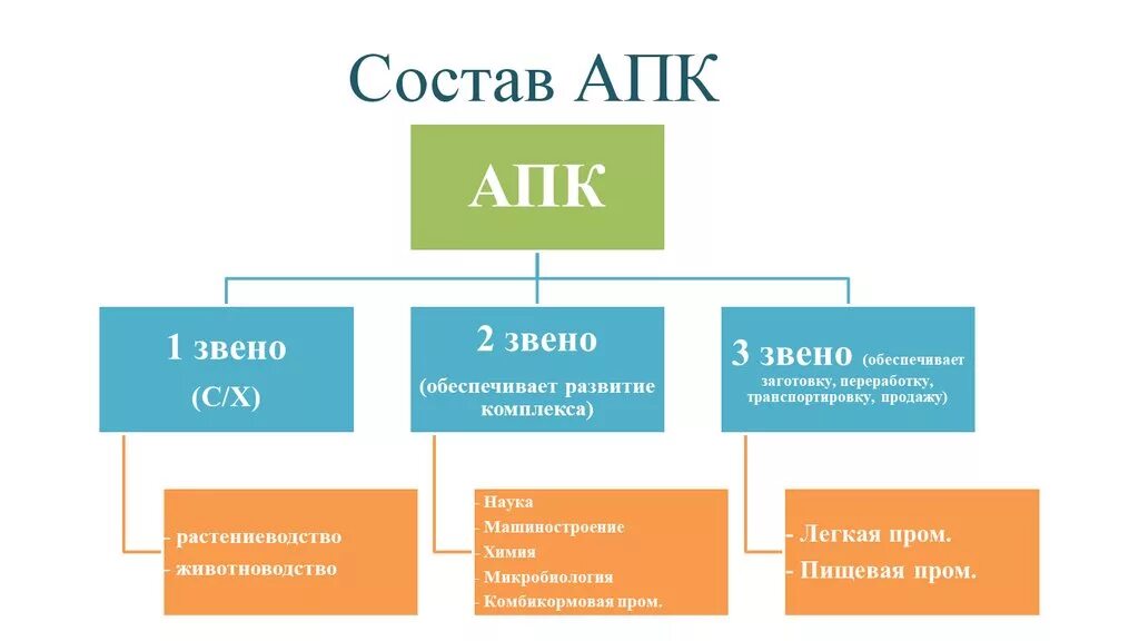 Структура АПК схема 9 класс. Схема агропромышленного комплекса география 9. Звенья АПК схема. Агропромышленный комплекс схема география 9 класс. 10 апк рф