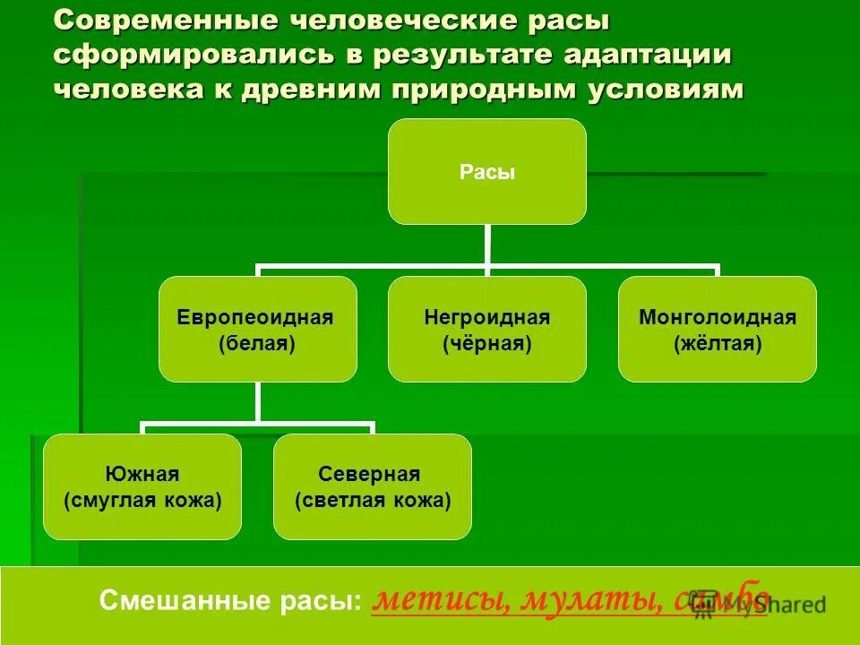 презентация человеческие расы и природные адаптации человека. презентация человеческие расы и природные адаптации человека. адаптациями негроидной расы к природным условиям являются. эскимосы раса. монголоидная негроидная.