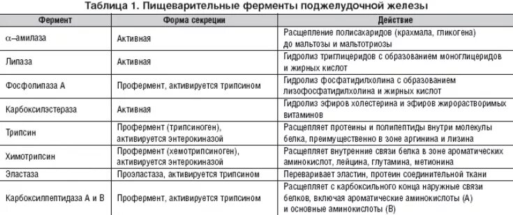 Функции ферментов таблица. Основные ферменты поджелудочной железы. действие пищеварительных ферментов таблица. препараты ферментов поджелудочной железы классификация. ферменты поджелудочной железы таблица.