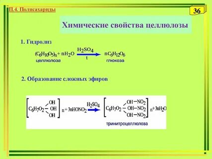 Химические свойства крахмала и целлюлозы