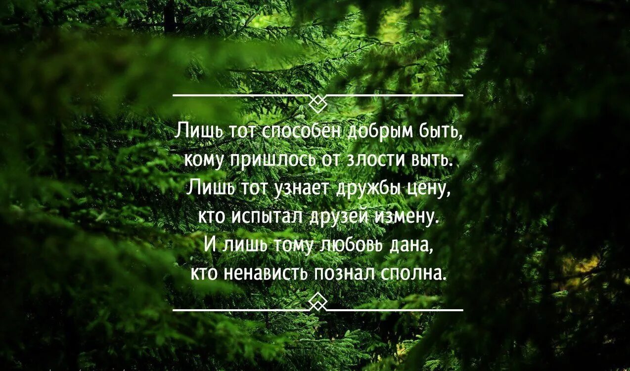 Лишь тот способен добрым быть. Лишь тот способен добрым быть кому пришлось от злости. Стихи лишь тот способен добрым быть кому пришлось от злости выть.