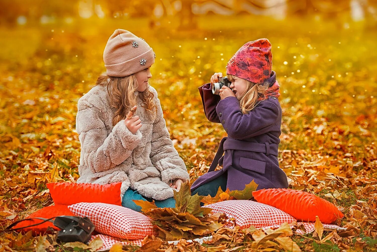 Теплое продолжительное лето и мягкая зима. Фотодень с цветами.