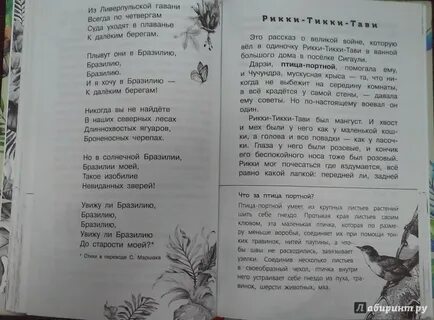 Из гавани всегда по четвергам