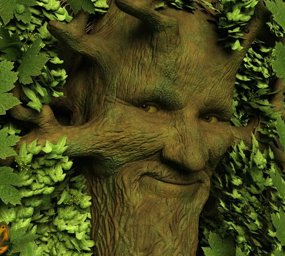 Картинки лицо дерево. Дерево с лицом. Зеленый человек. Мистическое дерево с лицом. Человек дерево зеленое.