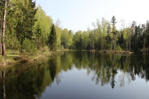 Павлово ярославская область