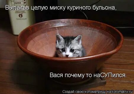 Сама поешь