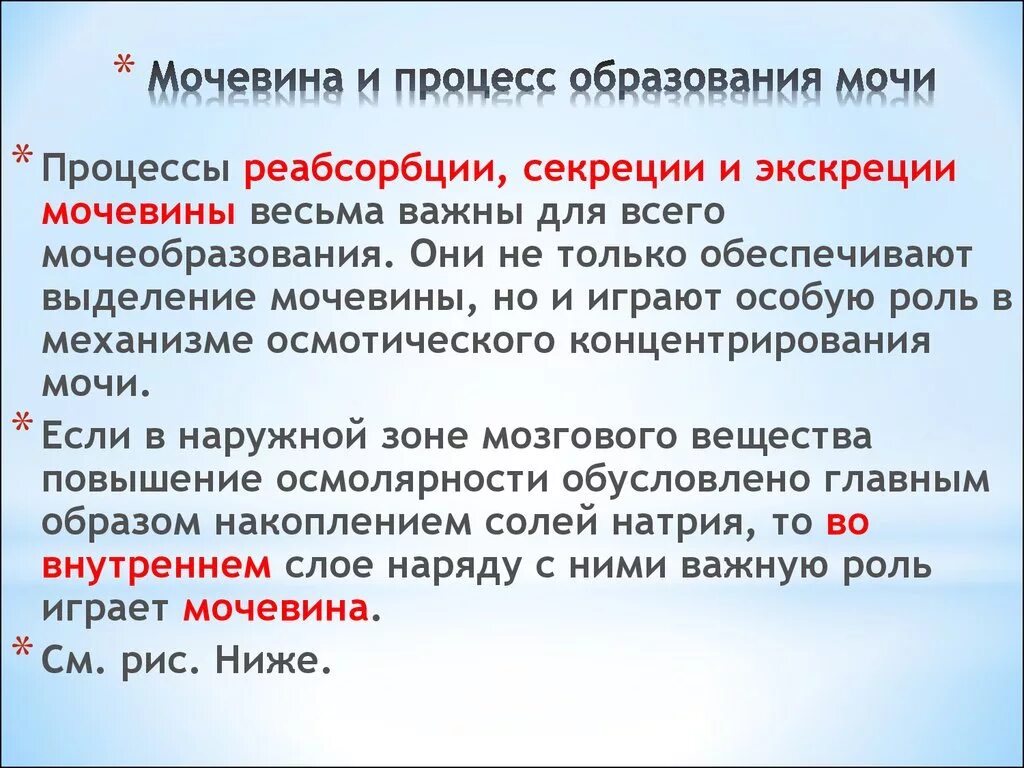 Механизмы регуляции мочеобразования. Процесс образования мочи. Роль мочевины. Процесс образования мочевины. Выводит мочевину