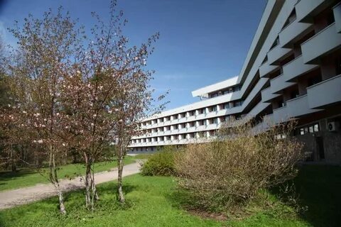 Санатории г сестрорецка