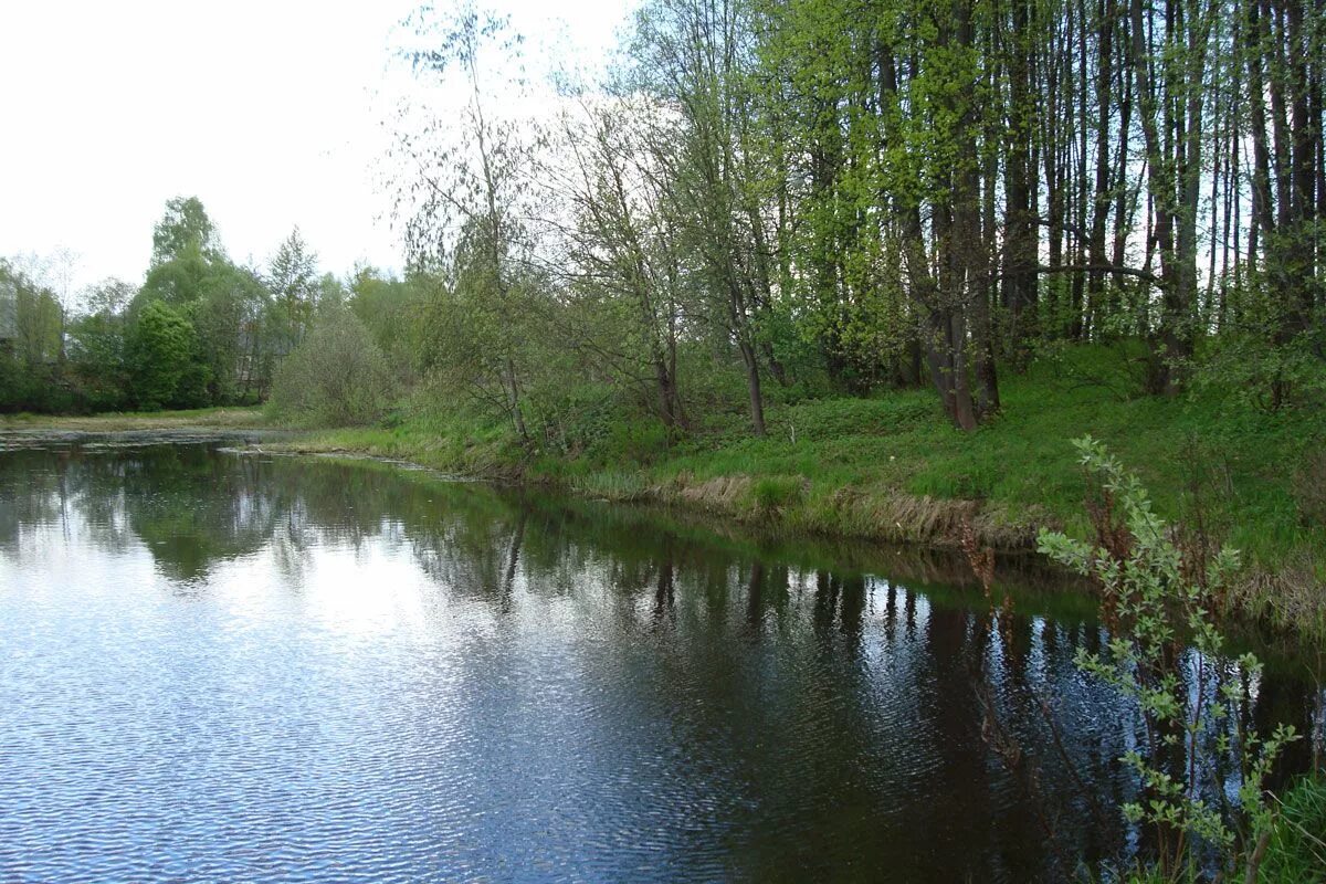 Наро фоминск порядино
