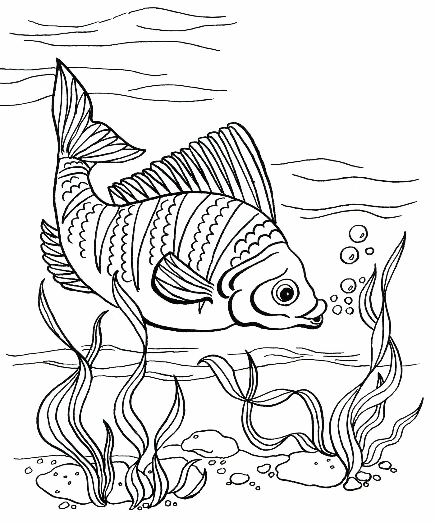 Раскраска рыбы для детей 7 лет. Рыбки для раскрашивания. Рыба раскраска. Рыбка раскраска для детей. Рыба раскраска для детей.