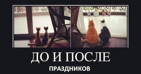 Придет после праздников