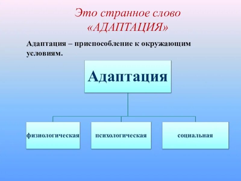 Адаптация текста. Адаптация слово. Прилагательные к слову адаптация. Адаптация значение слова. Заменить слово адаптация