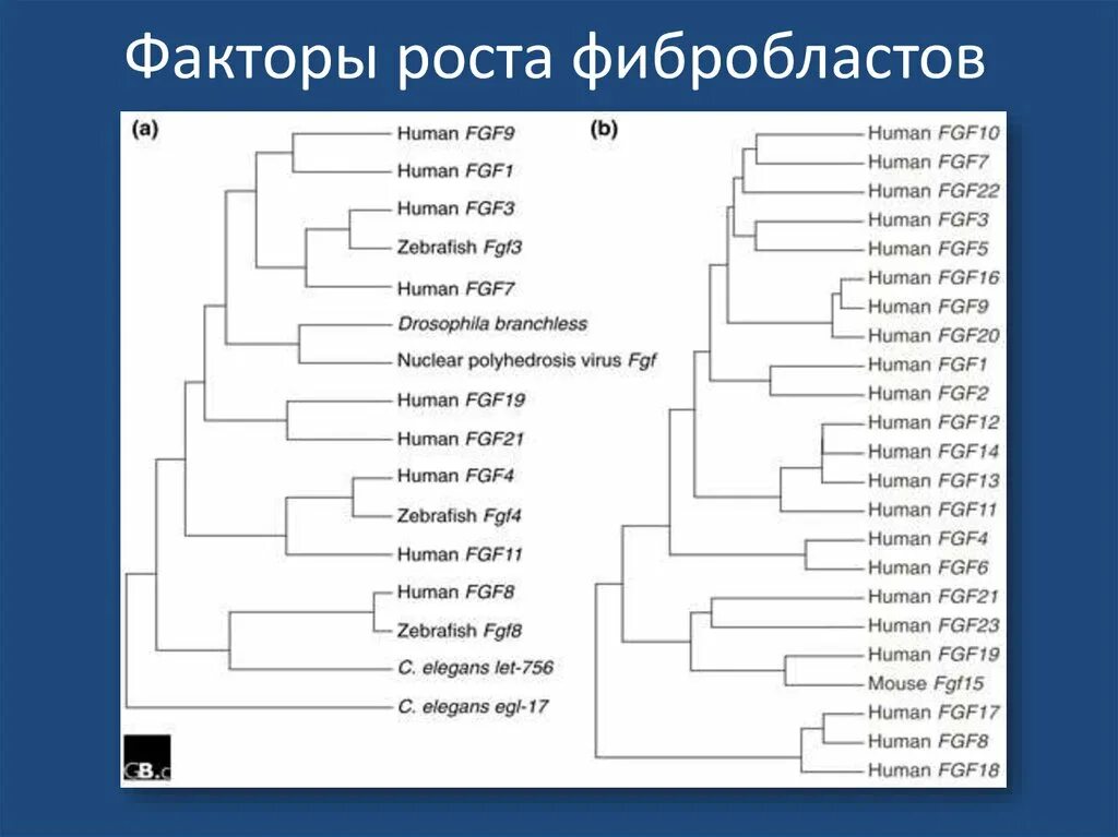 15 16 человек. 15 16 человек