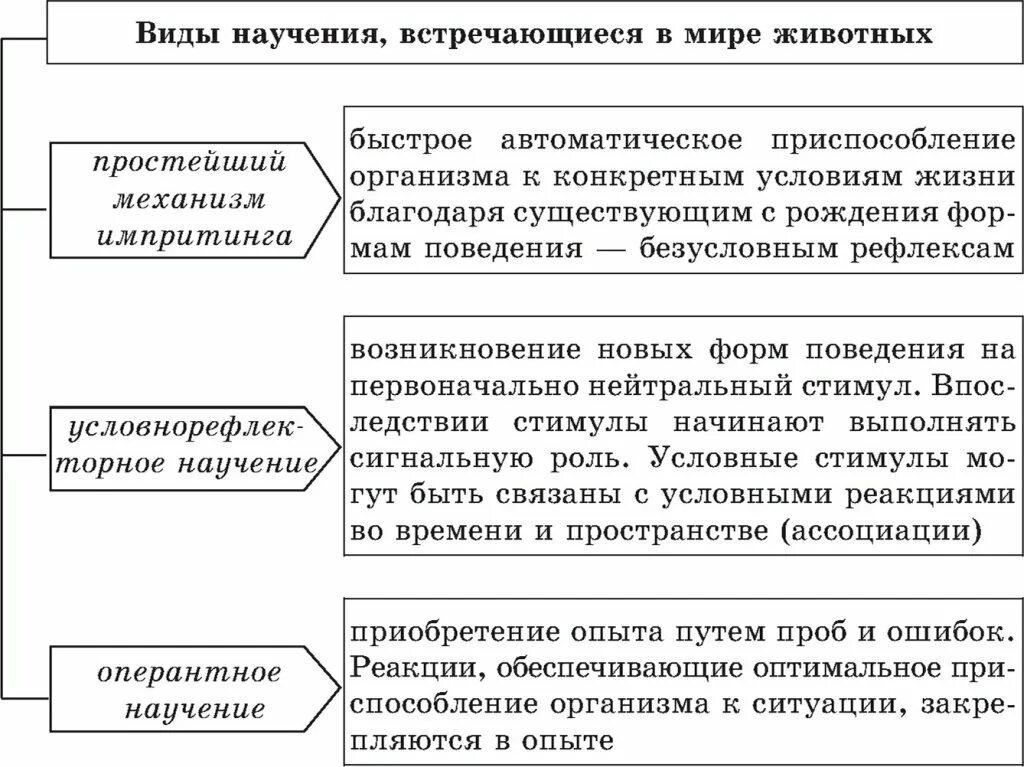 Особенности научения