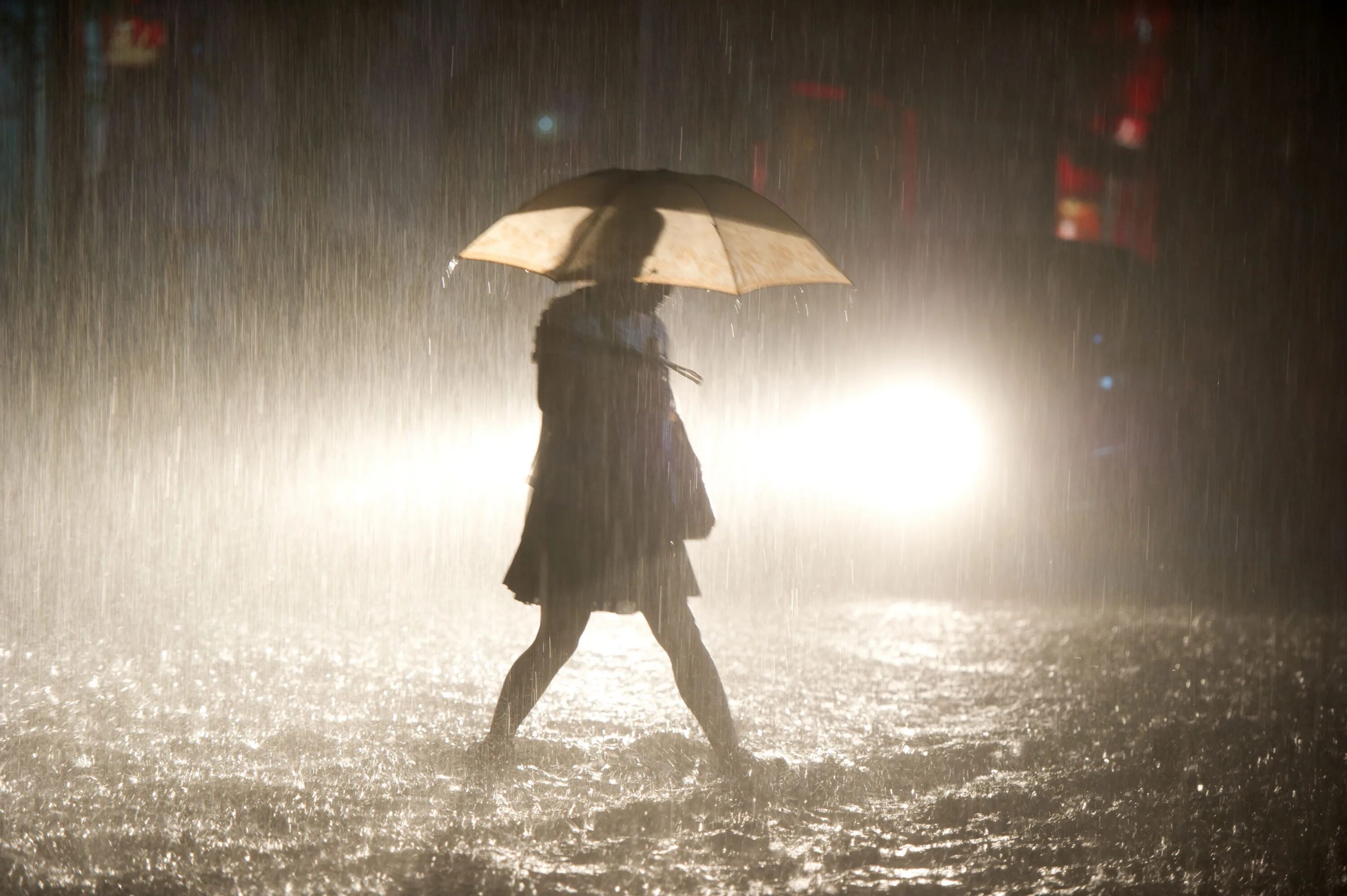 You take an umbrella today. Сильный дождь. Ливень. Дождь зонт. Ливень с ветром.