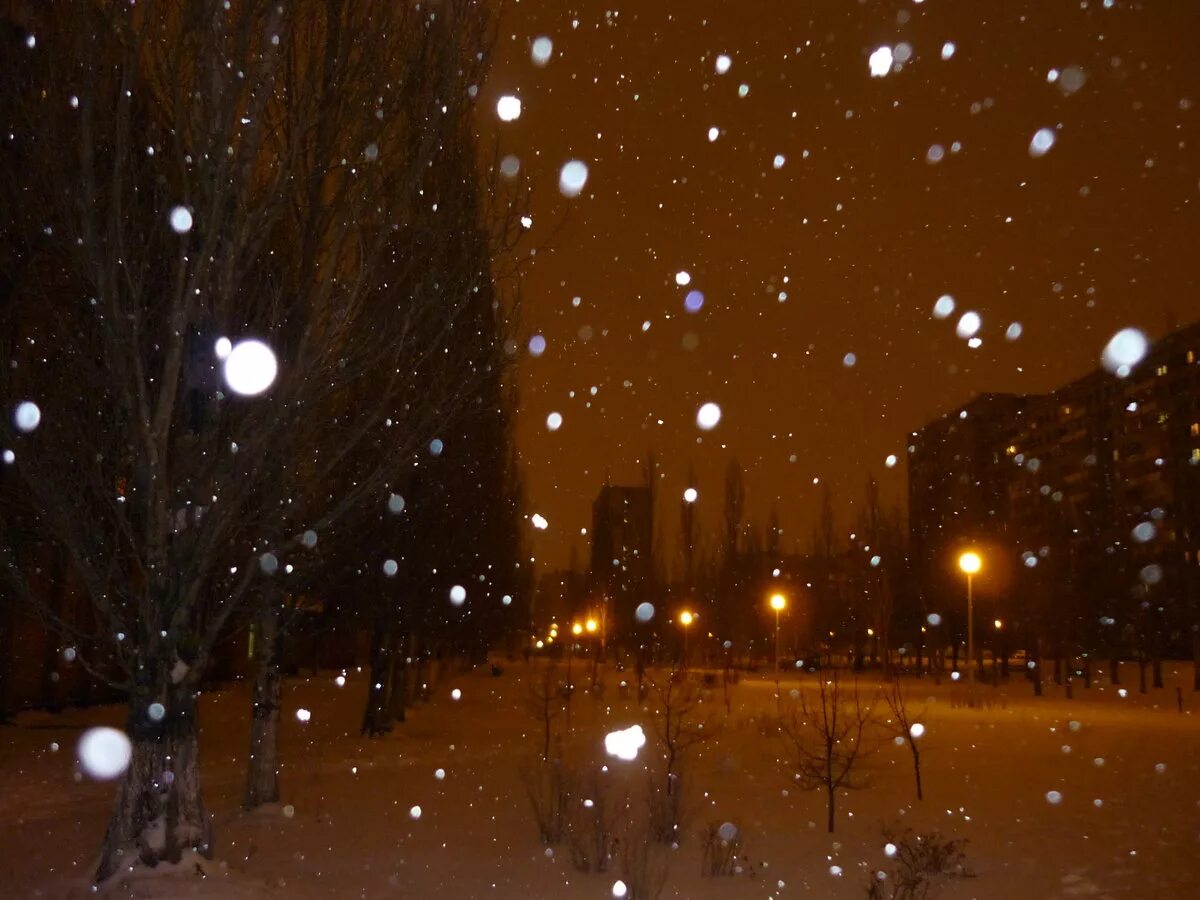 Вечером снежок. Снегопад ночью. Снегопад ночью в городе. Ночной снегопад в городе. Снегопад в городе.