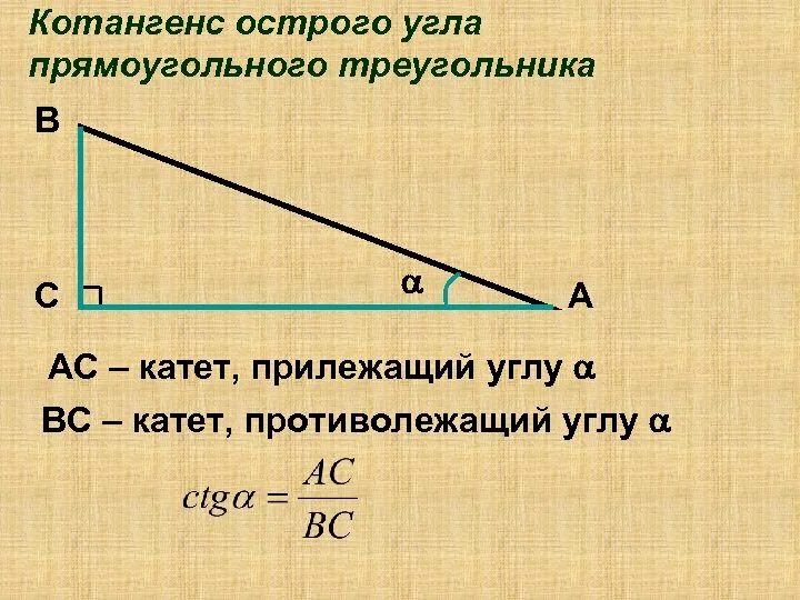 Котангенс угла c. Синус косинус тангенс в прямоугольном треугольнике. Котангенс острого угла прямоугольного треугольника. Синус косинус и тангенс в прямоугольном треугольнике b. Тангенс катет синус косинус.