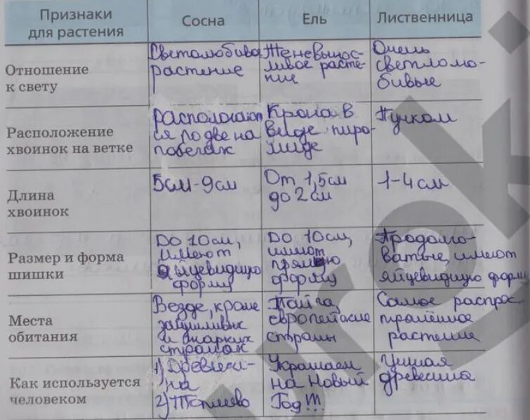 Параграф 40. Внешнее строение и скелет пресмыкающихся. 7 класс