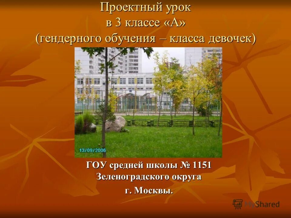 Проектный урок 2. Школа 1151 3 класс. Школа 1151 Зеленоград каникулы. Государственное образовательное учреждение средняя школа 1. Гендерного обучение школа 1257.