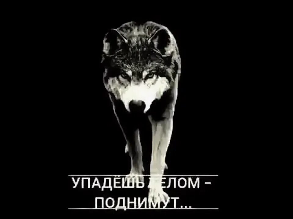 Чужие губы аккорды для гитары. Аккорды к песням под гитару. Тексты и аккорды. Никогда не падай духом аккорды. Никогда не падай духом аккорды.