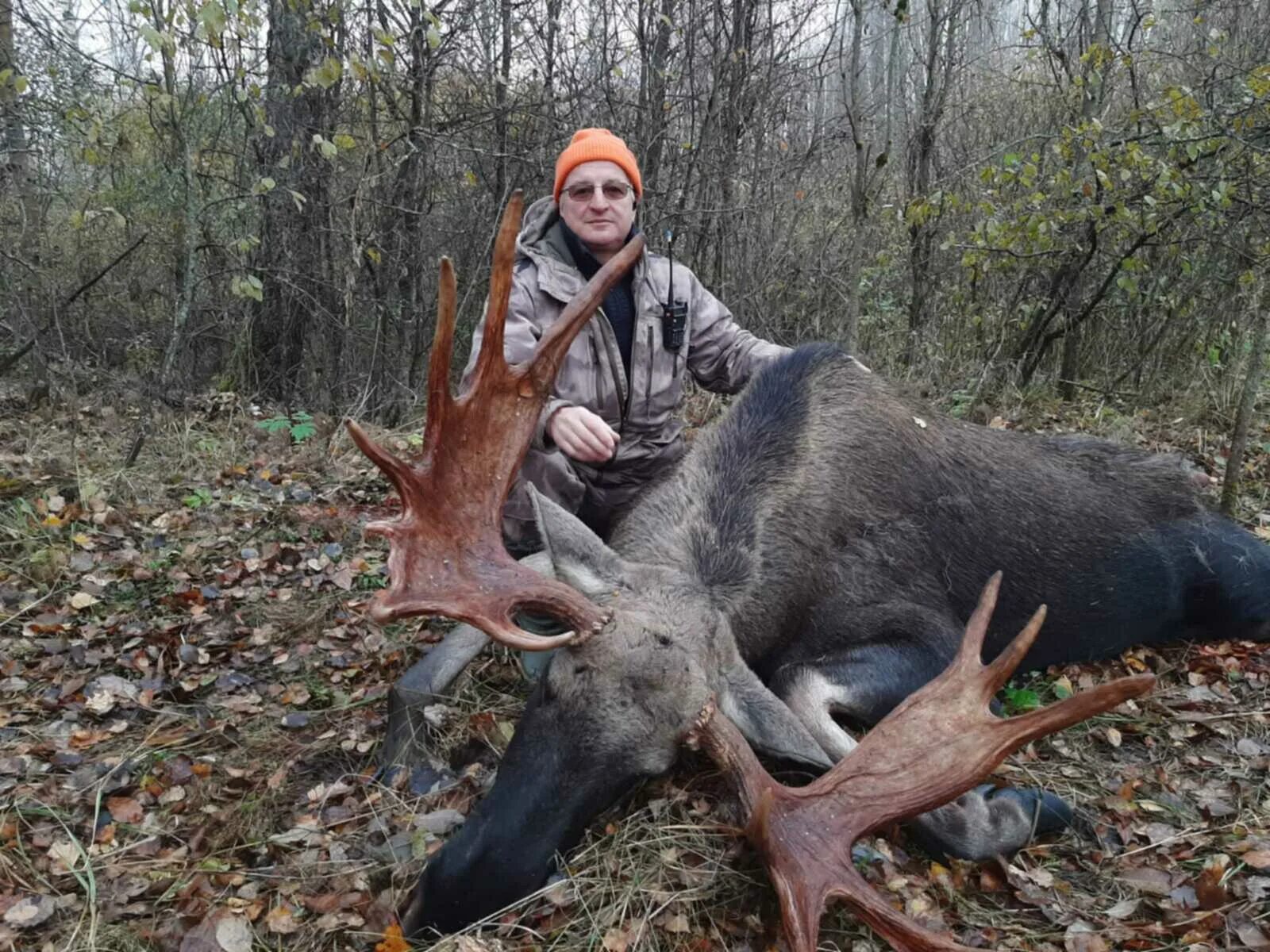 Охотхозяйство смоленское. Родные просторы охотхозяйство смоленской области. Издешково охотхозяйство смоленская область. Кабаны охотхозяйство смоленская. Вепрь охотхозяйство в смоленской области.