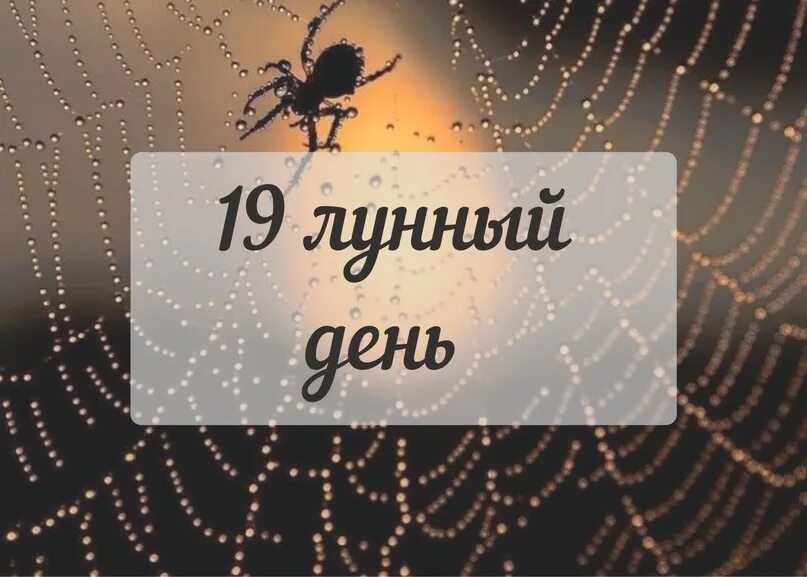 19 августа 2025 года какой лунный день. 19 лунный день. 19 лунные сутки паук. 19 лунный день характеристика. убывающая луна, 19 лунный день.