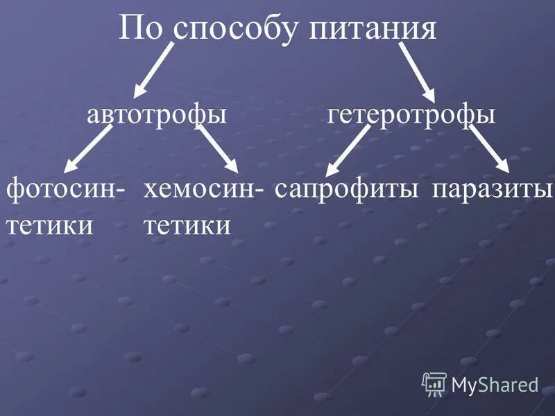 Особенности питания прокариот. Систематика прокариот. Виды питания бактерий. Типы питания прокариот микробиология. Типы питания прокариот.