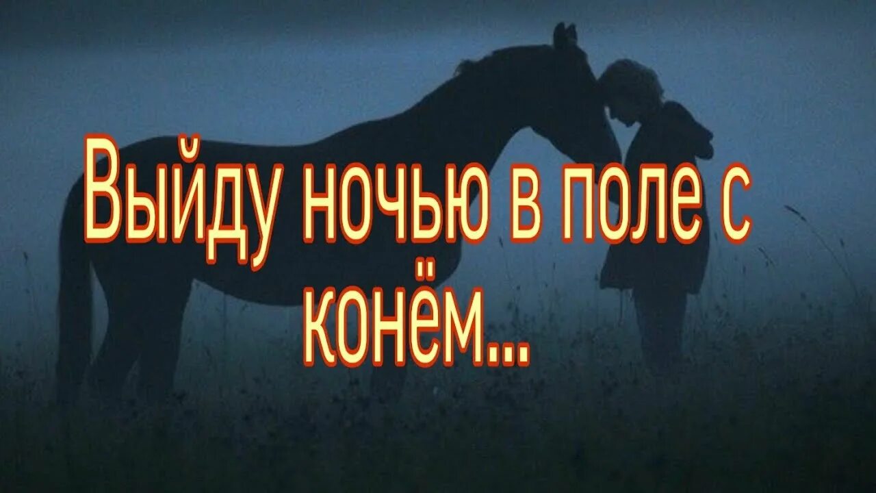 Шаман выйду ночью. Конь ночью.