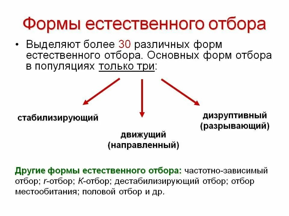 Сравнение форм отбора. Схема классификации естественного отбора. Виды форм естественного отбора. Фомыестественного отбора. Формы естественногоьотбора.