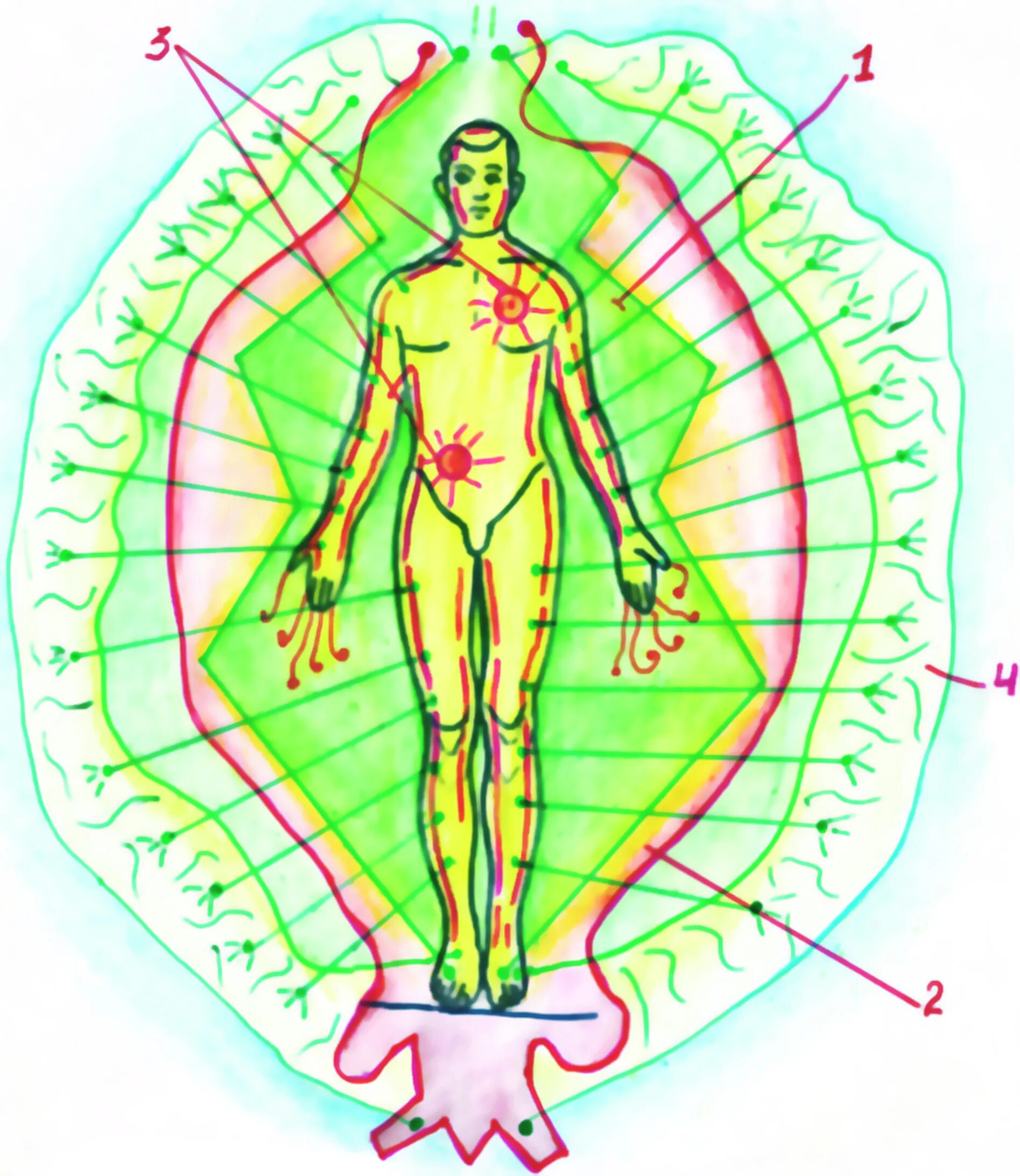 Картинка поля человека. Биополе человека. Аура человека. Энергетическое поле человека. Биоэнергетические поля человека.