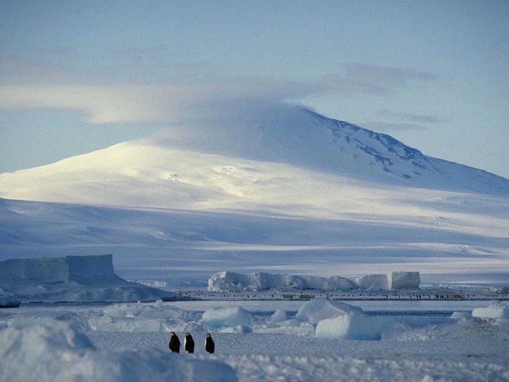 Станция купол Фудзи Антарктида. Самое Холодное место в Антарктиде. Станция Восток Антарктида. Арктика самое Холодное место.
