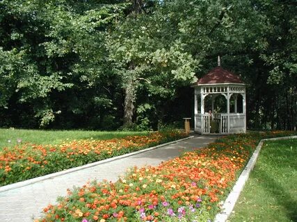 Воронеж имени горького