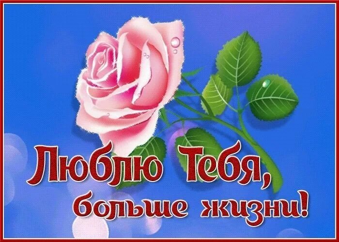 Люблю тебя и восхищаюсь. Люблю тебя и восхищаюсь