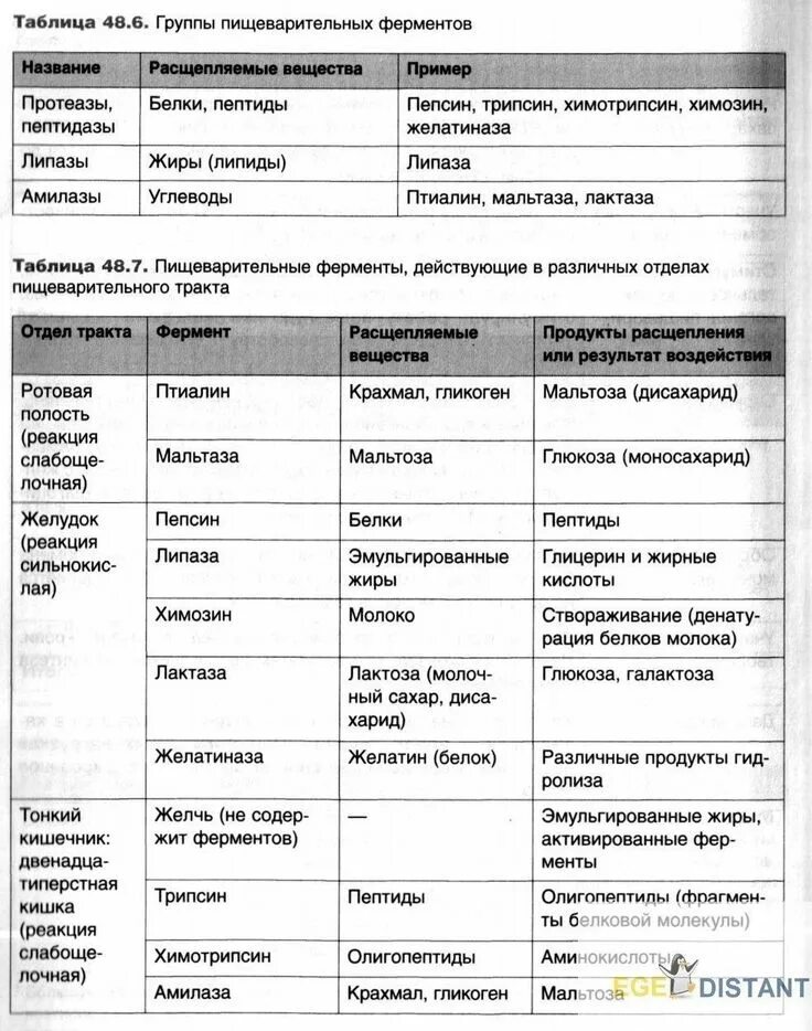 Таблица по пищеварению 8 класс биология. Таблица по биологии строение и функции пищеварительной системы. Ферменты пищеварительной системы человека таблица. Пищеварительная система ЕГЭ биология таблица. Ферменты пищеварительной системы таблица ЕГЭ.