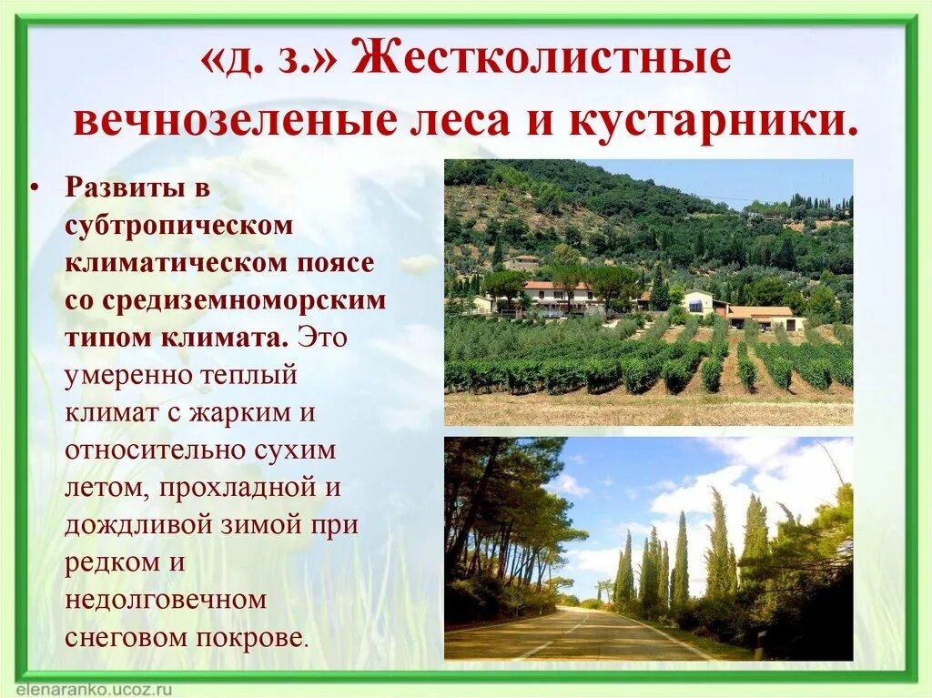 вечнозеленые леса евразии растительность. евразия жестколиственные вечнозелёные леса и кустарники. климат жестколистных лесов евразии. субтропические леса и кустарники. жестоколистных везно-зелёных листов и кустарников.