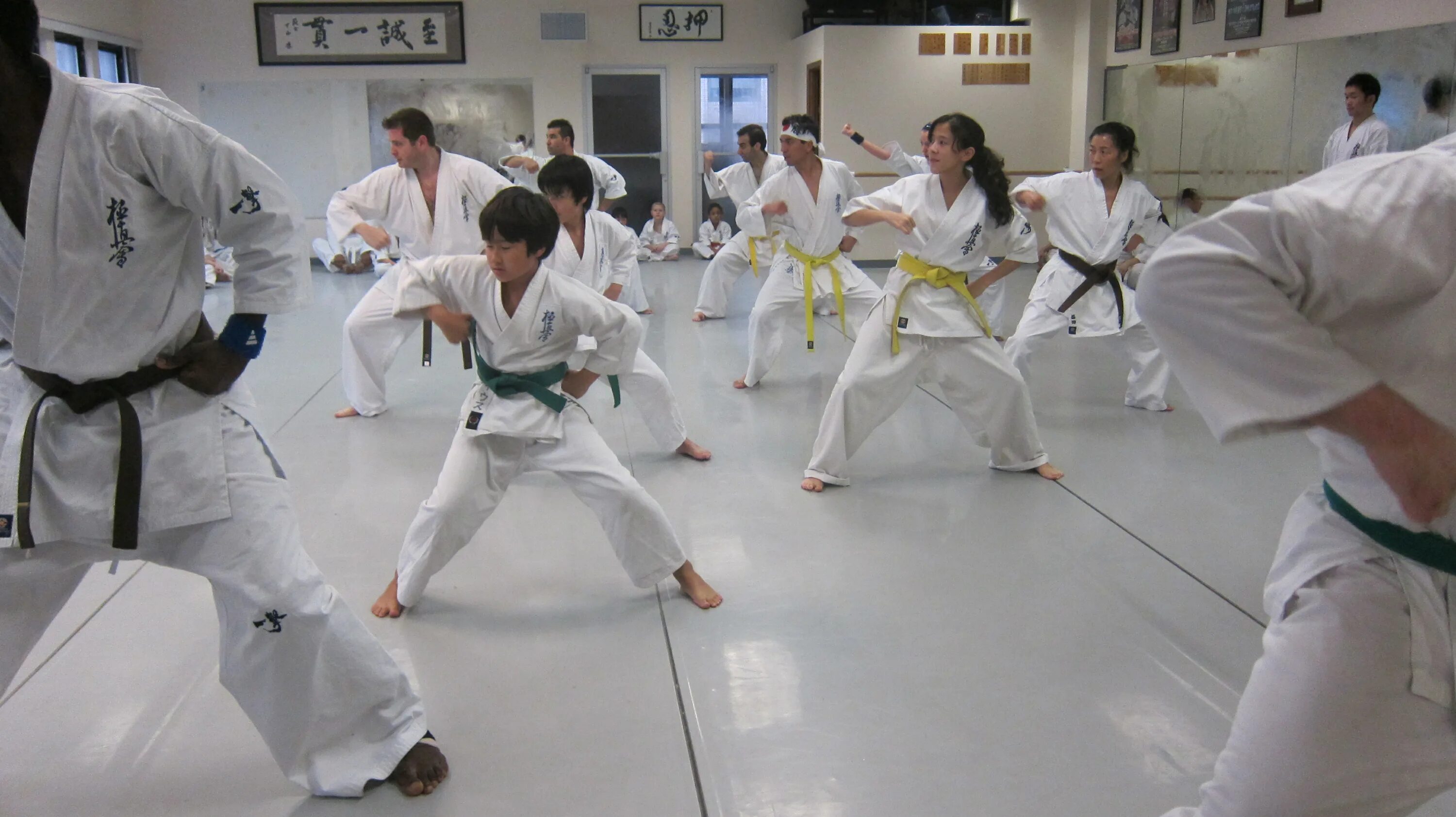 Карате движения. Пинан 2 киокушинкай. Приёмы по каратэ для начинающих. Каратист в движении. Приёмы карате для начинающих.